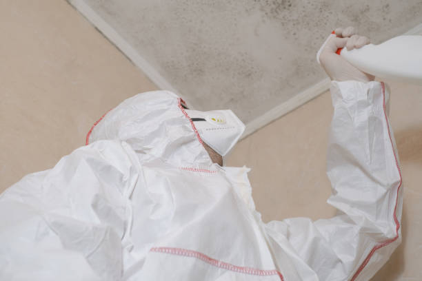 Best Local Mold Removal Service  in Indian Hills, KY